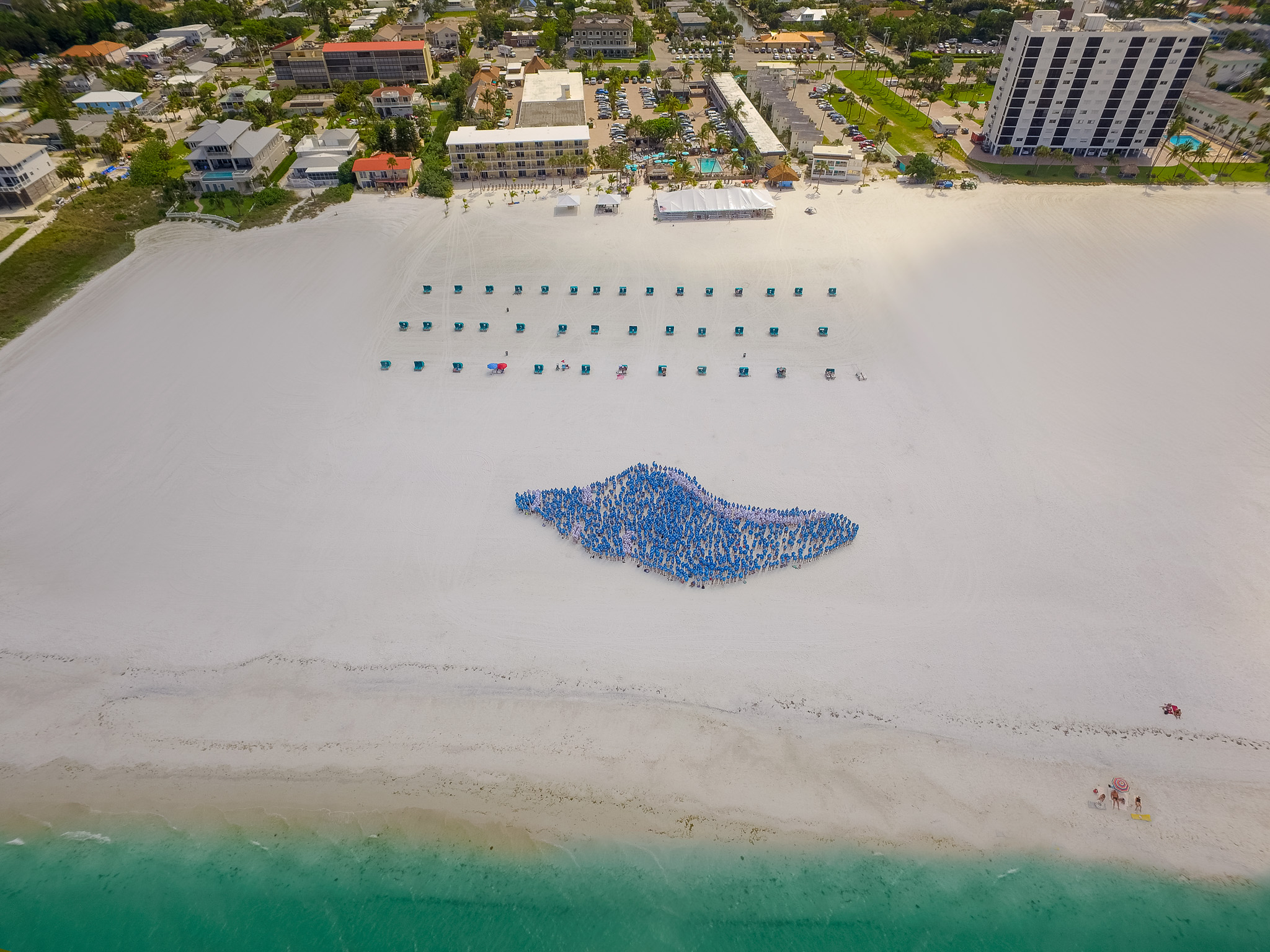 World's Largest Human Seashell